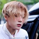 [드루와] 근데 탈코르셋 영향이있긴한듯