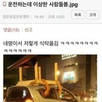 [드루와] 대학갈때 <b>장래</b>희망