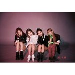 [모두드루와] 블랙핑크 활동 연장