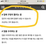 [댓글부탁해] 꿈<b>해몽</b> 잘하는 판녀들아 도와줘,,