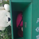 [꼭조언부탁] 어떤 사람이 강아지를 버렸어요 ㅠ <b>입양</b>하실분있나요?