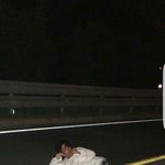 [댓글부탁해] 홍원이 <b>개치</b>명적이누,,,,