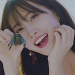 [드루와] <b>모모</b>신곡미쳤당