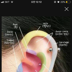 [댓글부탁해] 피어싱 헬<b>릭스</b> 뚫어본사람