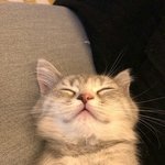 [댓글부탁해] 얘들아 ㅠㅠ 내가 친구 <b>학습지</b>를 빌렸거든