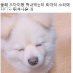 너흰 과학 무슨 파트가 젤루 싫냥