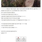 [댓글부탁해] 워마드, 외국어린소년 강x 후 시체유기