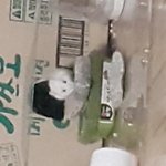 평촌역에서 <b>사온</b> 햄스터는..