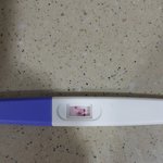 [19] 테스<b>트기</b> ㅜㅠㅠ왜이래