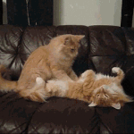 오늘<b>수고</b>했어요