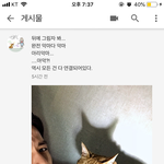 고양이 유튜버 아리는 고양이 내가 주인 <b>이분</b> 알아??및쳣으뮤ㅠㅠ