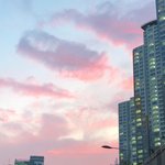 [댓글부탁해] 고1이고 이과쪽선택할건데 <b>법과</b>정치