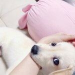 [댓글부탁해] 나만 생리대 갈때 양많으면 개<b>뿌듯</b>하냐