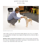 [엔터톡] [토니안] 유기견 후원 프로젝트!!!!