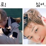 [강다니엘] 강다니엘시리즈 같은<b>말</b> <b>다른</b> 느낌