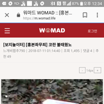 [개념없다] 워마드 드디어 이슬람경전 코란까지 태움