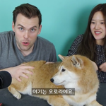 미남+미녀+댕댕 조합유튜버 추천함^^