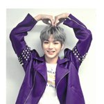 [강다니엘] 팬콘 블루레이 강다니엘 폴라 포카 <b>스캔</b>본