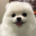 ㅗㅜㅑ 에이틴 재<b>밋네</b>