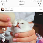 고양이 좋아하면 <b>이분</b> 팔로우 해라..
