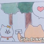 썸남한테 써먹을 뚱냥이 카톡용 애교짤 푼다!