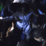 [댓글부탁해] 이번주 <b>난민</b> 집회 가는 사람