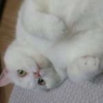 [댓글부탁해] <b>검정</b>고시 관해서 물어볼게 ㅜ