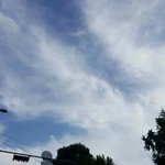 [댓글부탁해] 나 서울대가 목표인데 <b>오바</b>야?