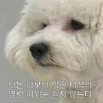 [댓글부탁해] 아까 <b>실검</b>에 뜬금없이 반송고등학교 뜨길래