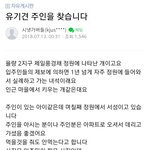 [<b>방</b>탈죄송] 유기견찾는<b>글</b>에 보신탕해먹게자기달라고하는사람