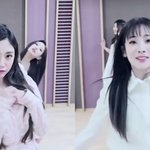 [러블리즈] 강아지랑 고양이 ㅋㅋㅋㅋ