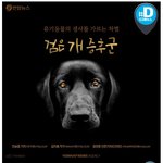[<b>명랑</b>엽떡] 검은 개 증후군