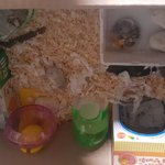 거칠은 삶을 사는 <b>북문</b>이