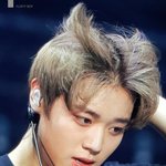 [박지훈] 싱가<b>폴</b> 윙깅살롱