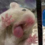 [EXO] 김민석오늘 포카리<b>cf</b>인줄