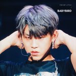 [박우진] 아 오늘자 <b>머리</b> 이<b>머리</b> ㄱㅐ좋아