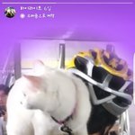 [댓글부탁해] <b>이윤진</b>이라는 이름 ㅇㄸ