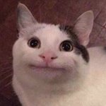 [댓글부탁해] 얘들아 제발 <b>제프</b>가 누군지 알려줘ㅠㅠㅠ