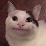 [19] <b>야나</b>20살인데 내친구가 남친이랑
