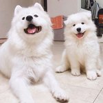 [조언부탁해] <b>법과</b>정치 vs 세계사