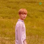 플레디스 <b>동글</b>이상 4명