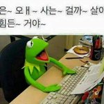진짜 궁금해서 그런데.. 사회초년생들만 들어와줘!!