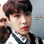 [박우진] 장난치다 <b>주인</b>한테 딱걸린 강아지
