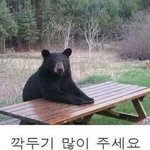 <b>오버</b>워치 배치결과,,