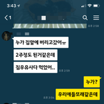 [고양이] 버려진아기고양이를데려왔어요