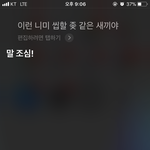<b>시리</b> 귀여움