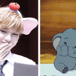 [강다니엘] 아기코끼리 덤보 강다니엘