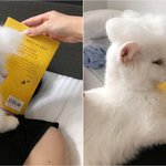 얘들아 난 왜 남자애들이랑 관계 <b>발전</b>이 없을까... ㅜㅜ