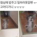 [조언부탁해] <b>상장</b> 잘 받는 팁 없음..?