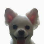 [조언부탁해] 진짜 <b>전문대</b> 가면 무시당해...?